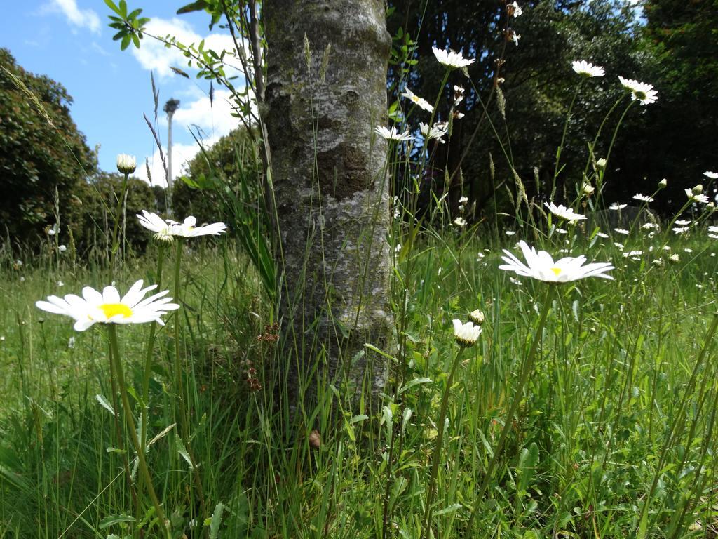 Apart & Tour Puerto Varas Ngoại thất bức ảnh